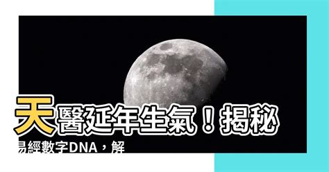 天醫 延年|【天醫 延年 生氣】解鎖你的數字運勢：天醫、延年、生氣號碼全。